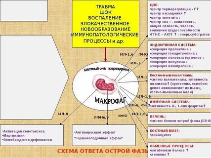 Проявления острой фазы