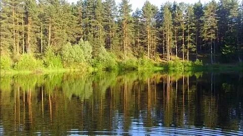 Сосново нижегородская область