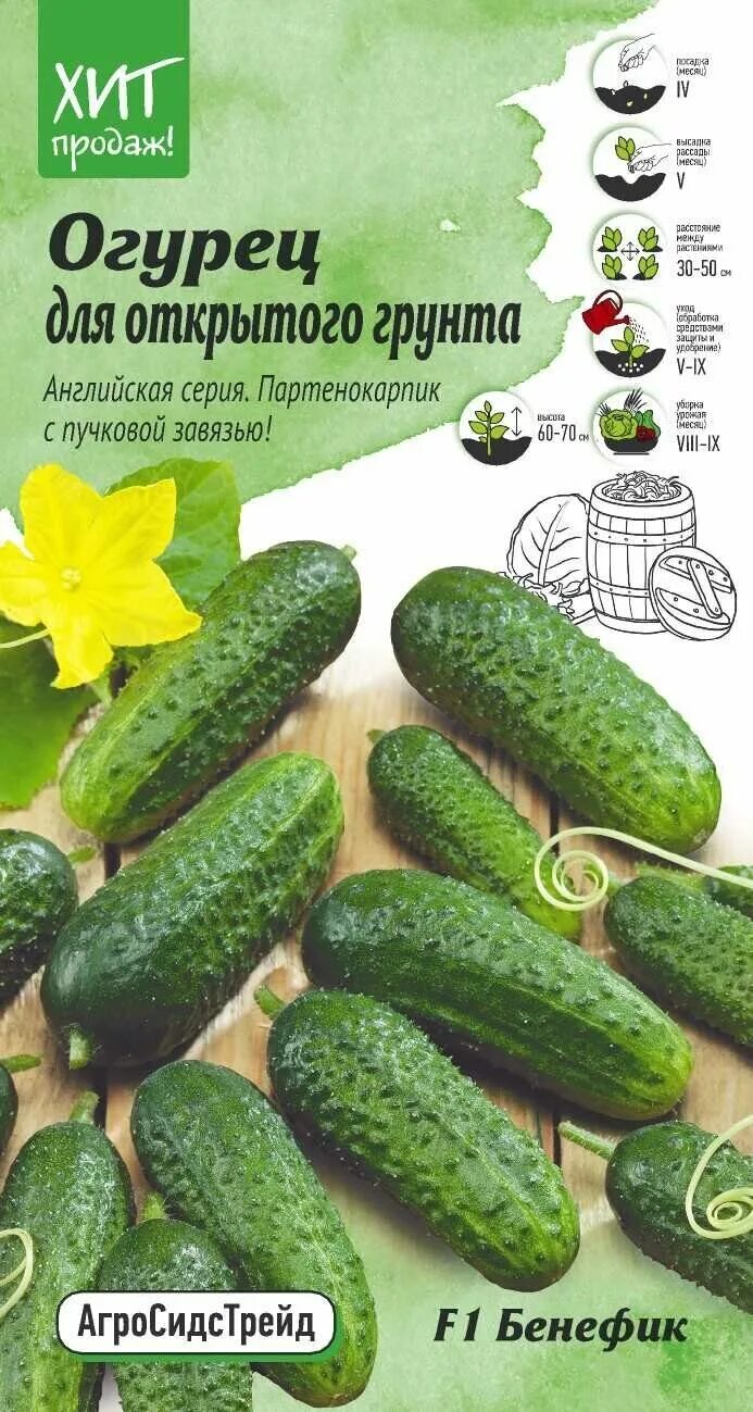 Огурец бенефис. Огурец бенефис f1. Огурец бенефис f1. Мадагаскар сорт огурцов. Огурец бенефис f1.