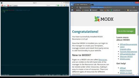 Modx чанки