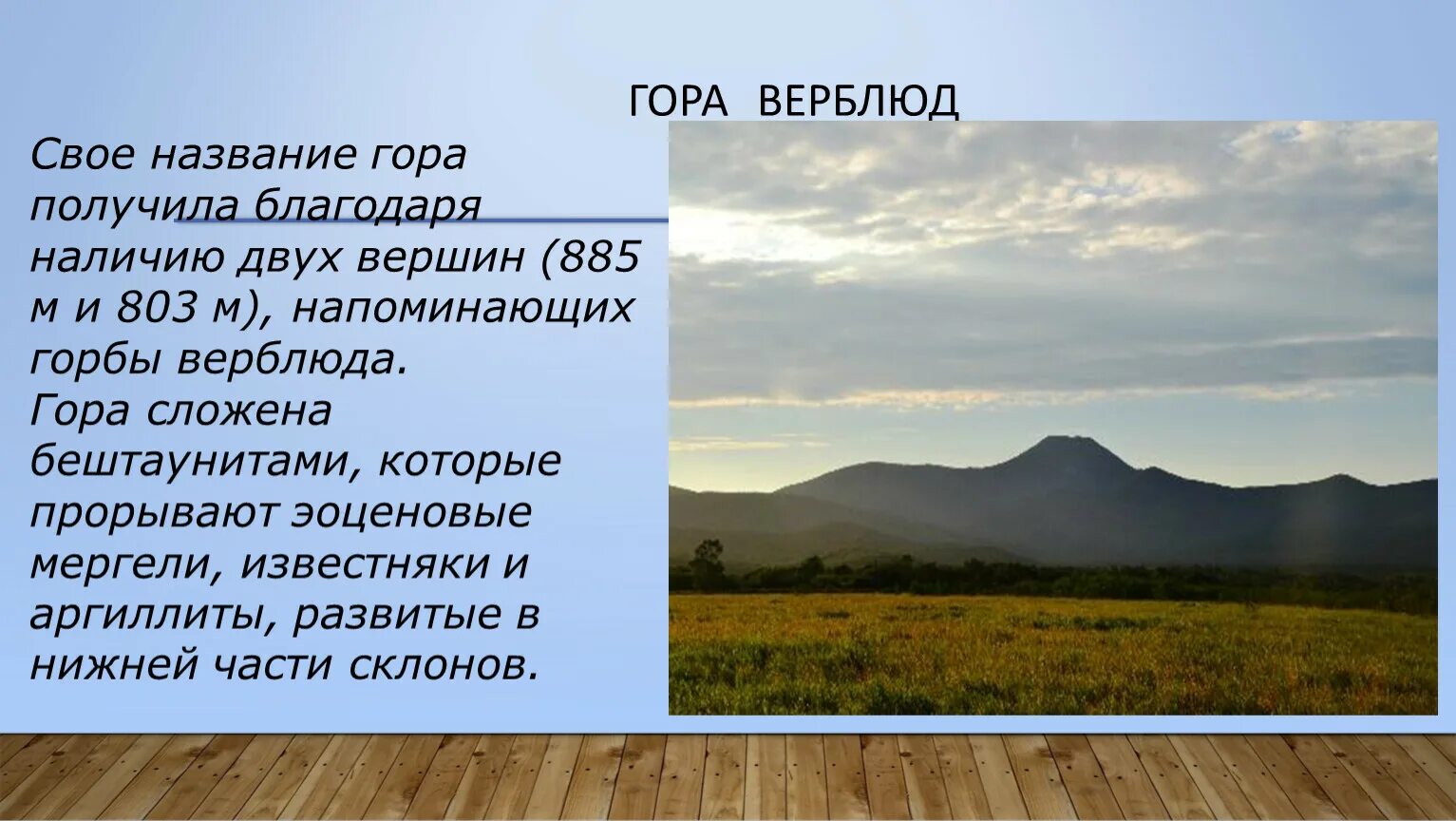 Основные сведения о поверхности Приморского края. Поверхность Приморского края 4 класс. Поверхность Приморского края доклад. Высота вершин Верблюдка гора. Сведения поверхности края