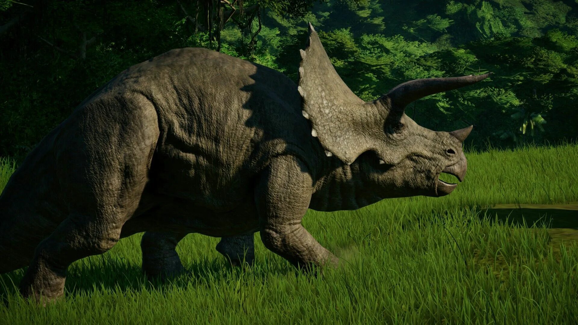 Мир трицератопсов. Трицератопс парк юрского периода. трицератопс jurassic world. трицератопс мир юрского периода 3. трицератопс jurassic world evolution.