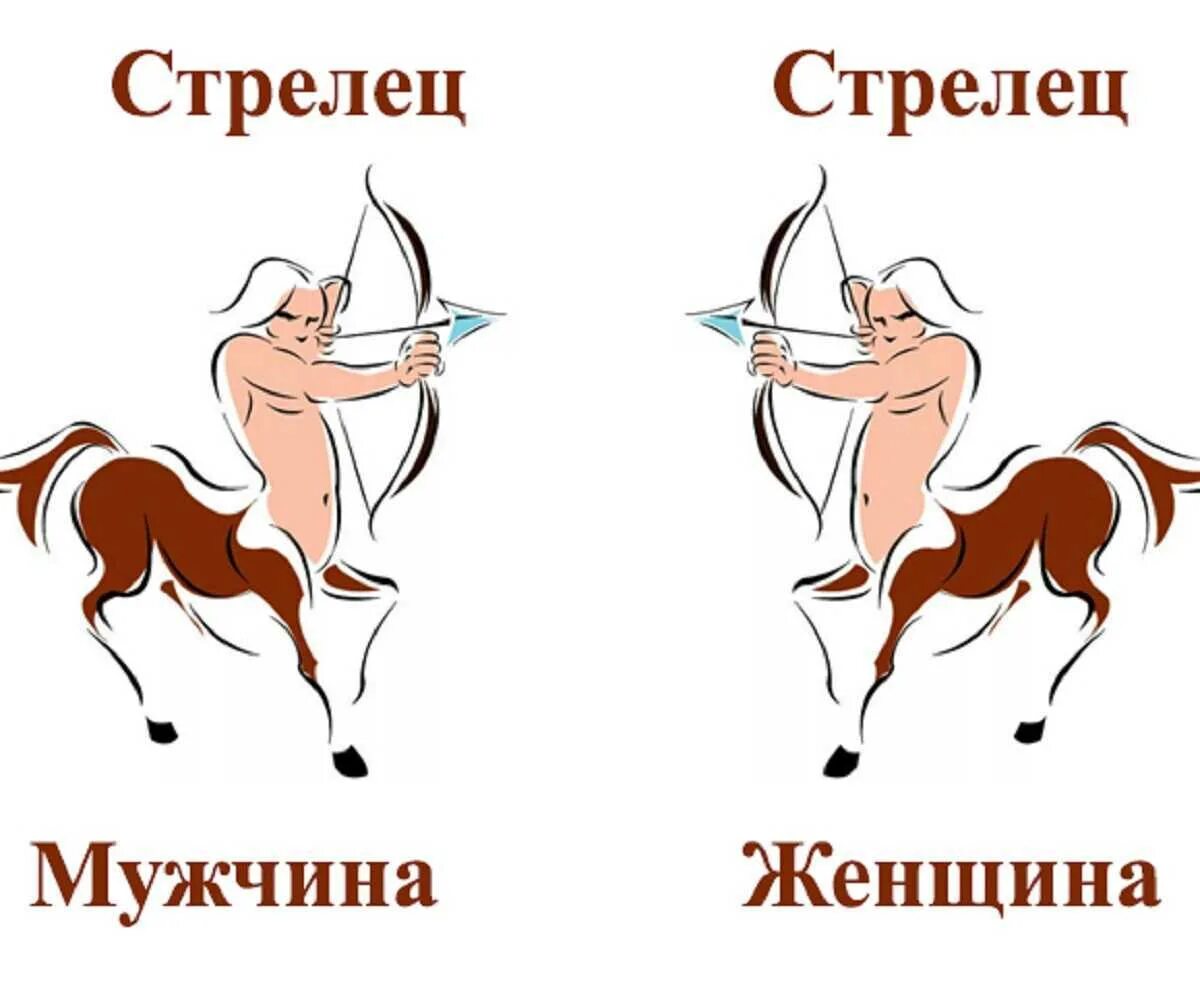 Стрелец. Стрелец мужчина и женщина. Стрелец мужчина. Женщина Стрелец.