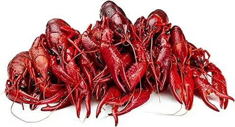 Раки фон