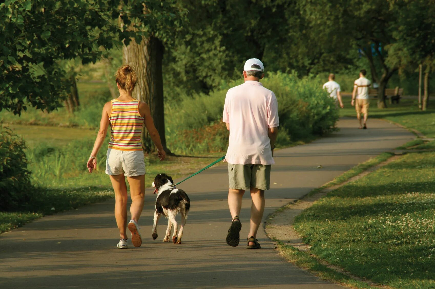 Люди в парке. Люди гуляют в парке. Прогулка. Прогулка в парке. The dog likes the park