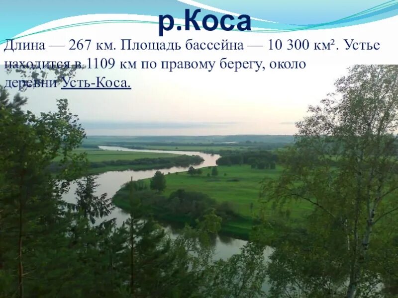 Коса Пермский край. Усть коса. Усть коса Пермский край. Водные богатства Коми Пермяцкого округа.