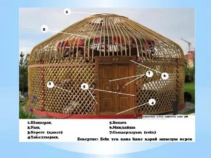 Қырынген кискалардың үйдегі фотосуреттері