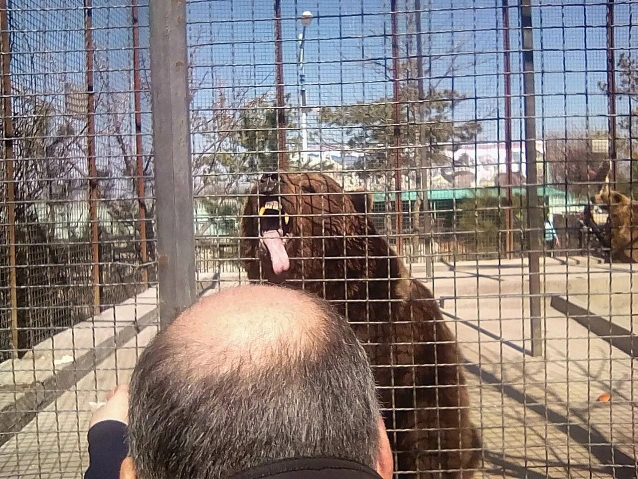 Парк Тайган площадь. Парк Тайган благоустройство. Парк Тайган для инвалидов. Вышивка по клеточкам парк сафари Тайган.