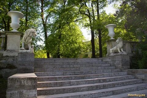 Санкт петербург ступени