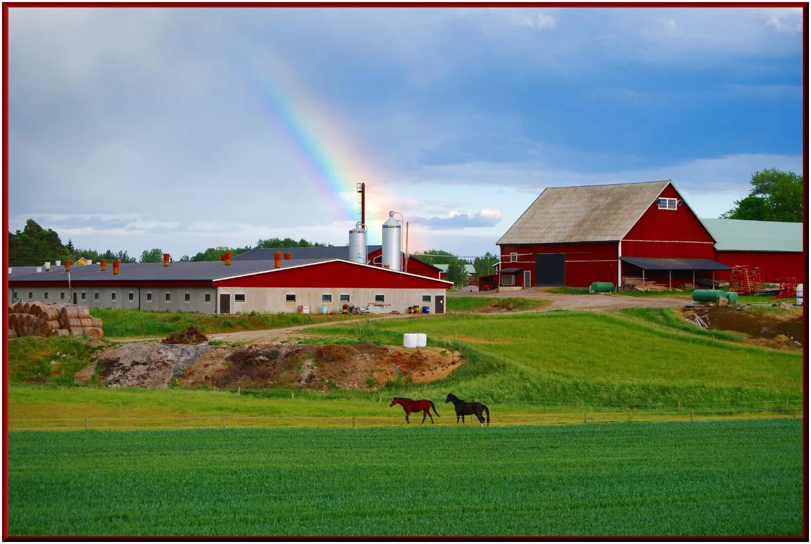 Ферма в Швеции. Сконе Швеция фермы. Ферма в Норвегии. Молочное ферма Норвегия. Ферма в озерах