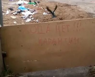 Обнаружить неожиданно