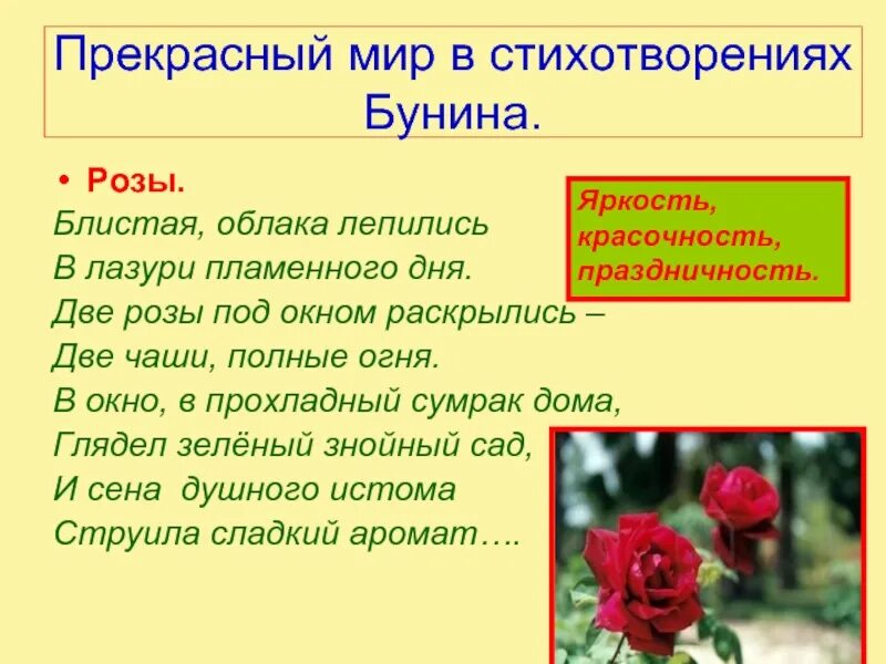 Стихотворения две розы. Стихотворение бунина. бунин и.а. &quot;стихотворения&quot;. розы блистая облака лепились в лазури пламенного дня. маленькое стихотворение бунина.
