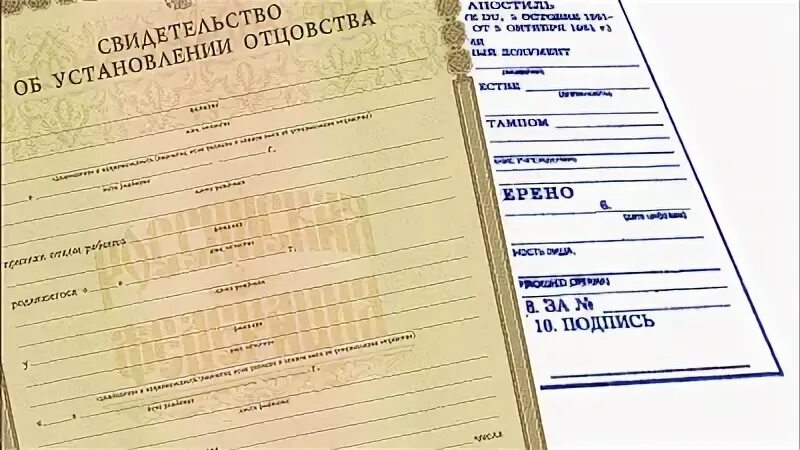 Установление отцовства свидетельство о рождении