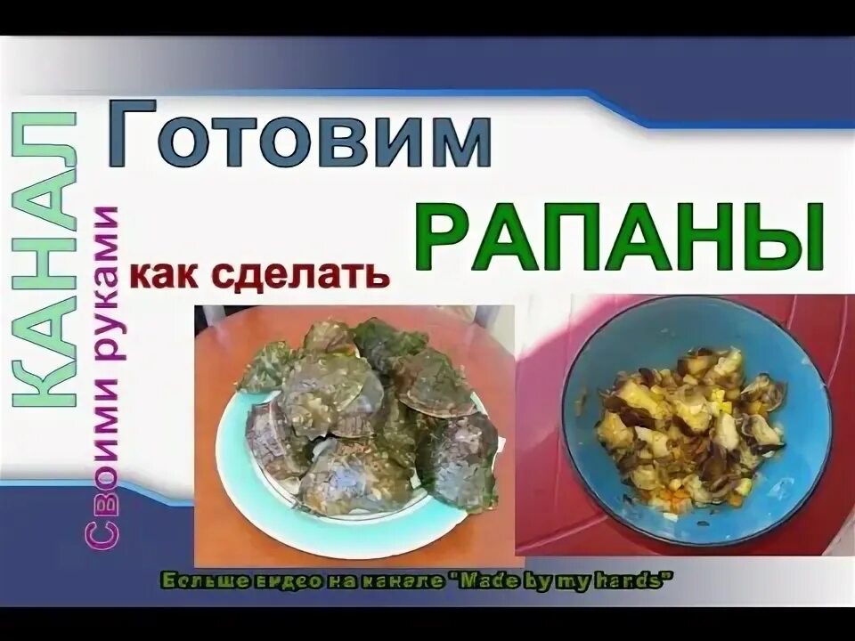 Как варить рапаны. Рапаны как приготовить. рапаны как приготовить быстро и вкусно. рапаны как чистить и готовить. как варитт ропае.