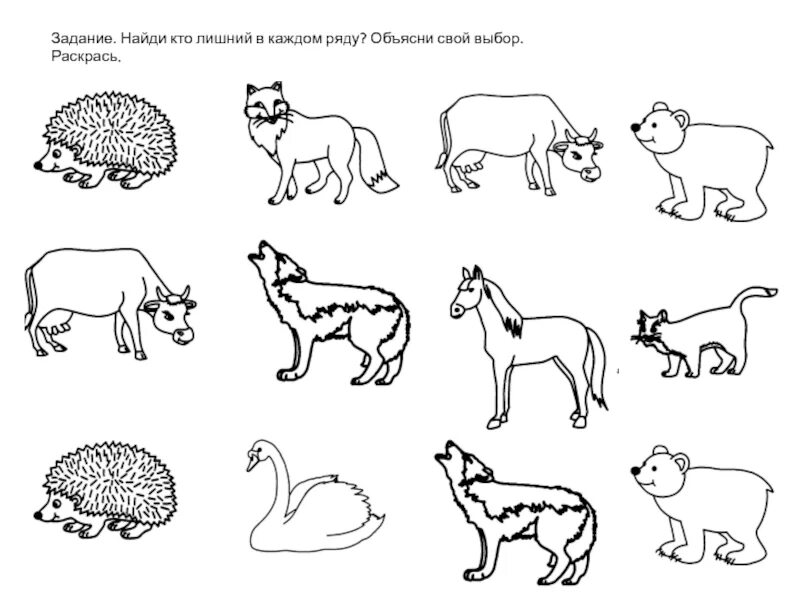 Определите лишнее в ряду представленных. Задания животные. Животные задания для детей. Животные задания для дошкольников. Домашние животные задания для дошкольников.