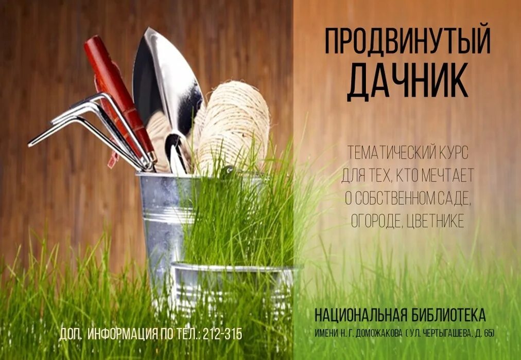 Дачник н