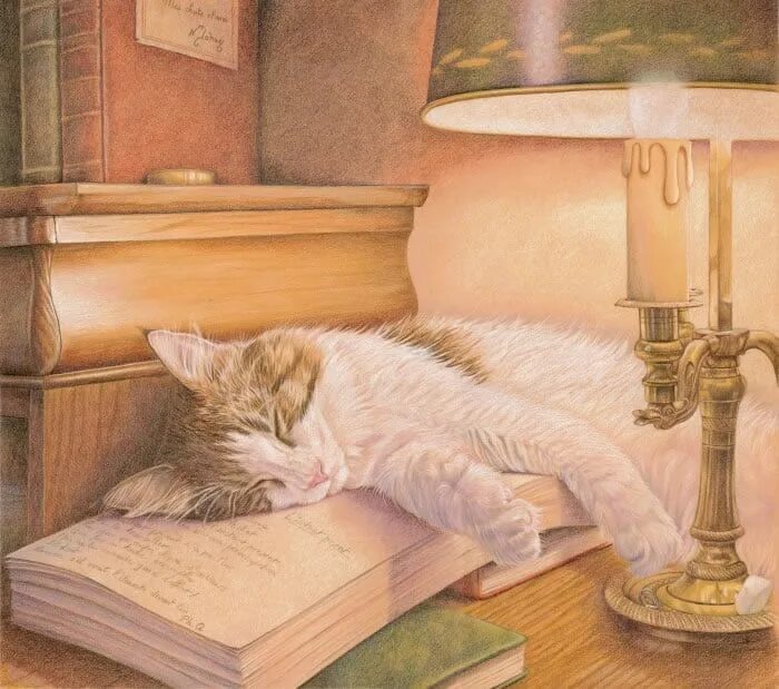 Книга про кота читать. Кошка с книжкой. Кошечка с книжкой. Книги про кошек.