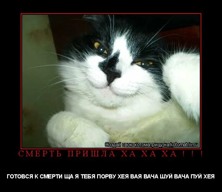 обязательно будет пятница и никто ее не отберет. вчера была пятница. указатель прикол. прикольные указатели. обязательно будет пятница и никто.