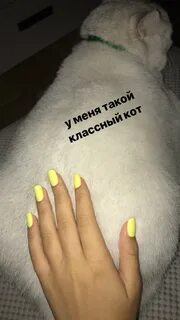 Ты что не понял я тебе намекала
