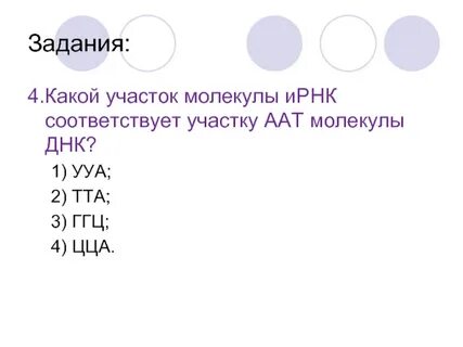 Чем является молекула ирнк