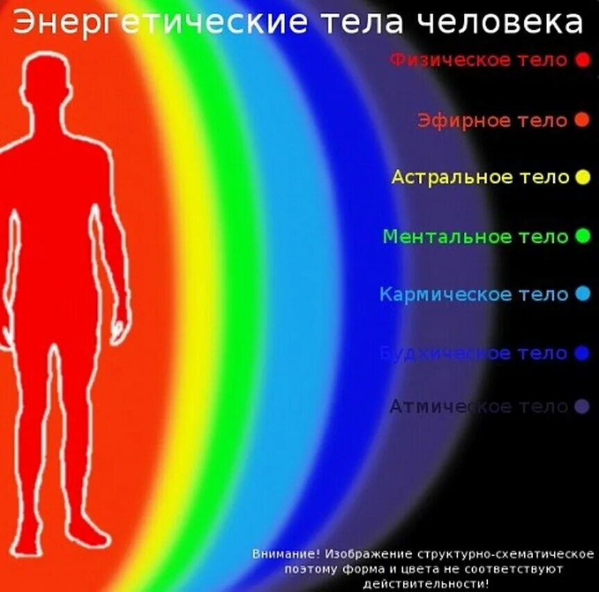 Информация на уровне энергий. Тонкие тела человека. Энергетические тела человека. Энергетическое телотселовека. Тонкие энергетические тела человека.