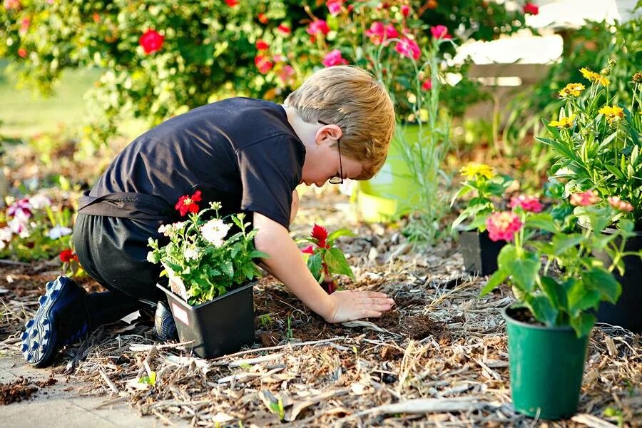 Сады цветоводов. Работа в цветнике. Сезонные работы. Мальчик в цветнике. The gardener planted some