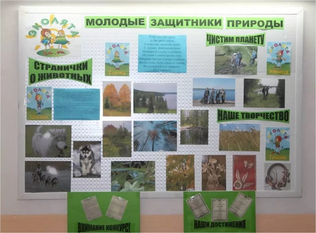 Многие защитники природы в нашей стране являются. Экологический стенд. стенд эколята. стенд &quot;молодые защитники природы&quot;. экологический стенд в школе.