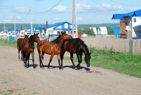 Погода ушаково орловская