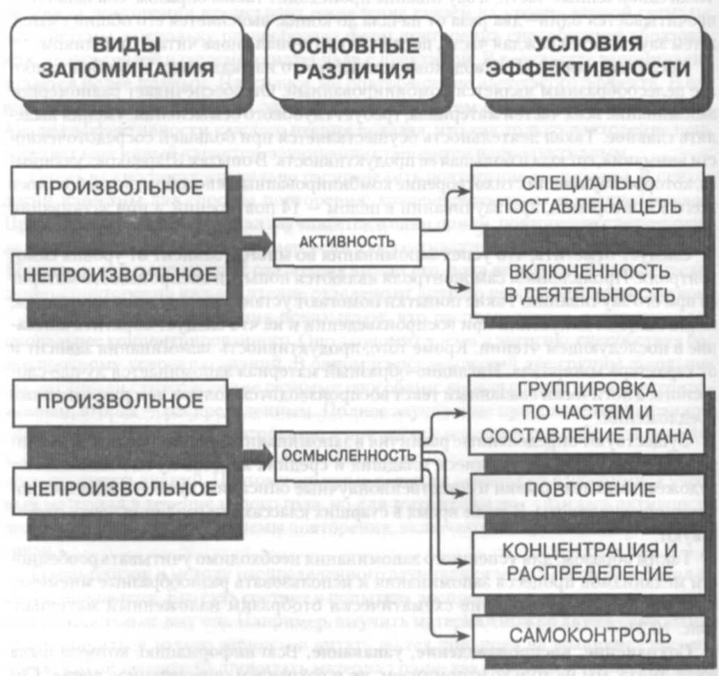 Память относится к психическим