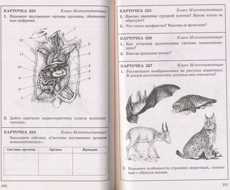 Задания по биологии. Интересные практические задания по биологии. Задания по биологии 7 класс. Карточки задания по биологии. Кр 9 биология