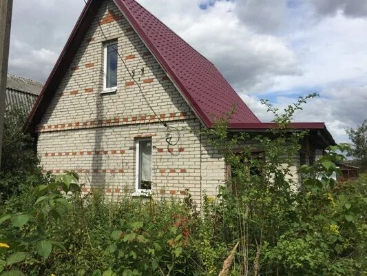 Купавна снт дача. Снт бабкина дача старая купавна. снт бабкина дача 2. бабкина дача 2 старая купавна. снт бабкина дача 2 старая купавна.