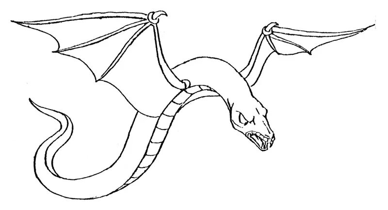 дракон змея. тату змеи и дракона. морской дракон эскиз. дракон змей нарисовать. крылья дракона карандашом.