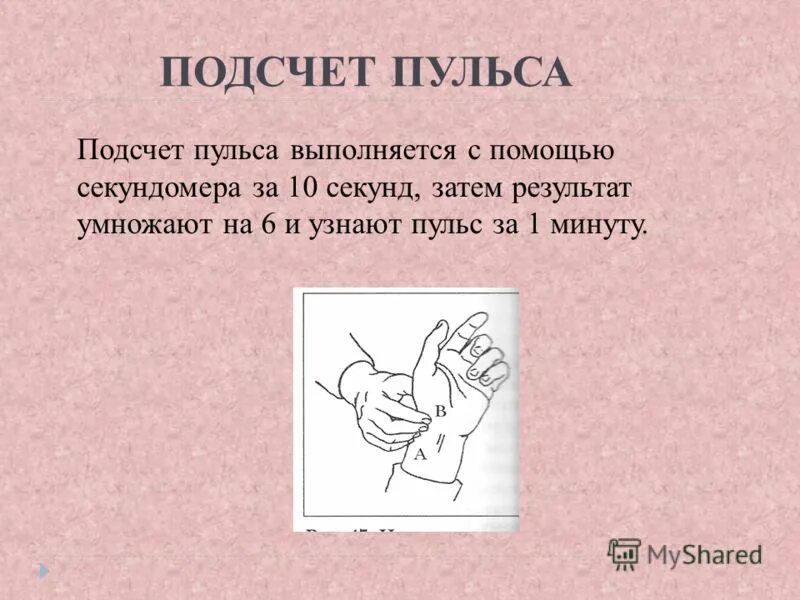 Техника подсчета. Техника подсчета. Алгоритм измерение числа дыхательных движений. Техника подсчета. Техника подсчета.