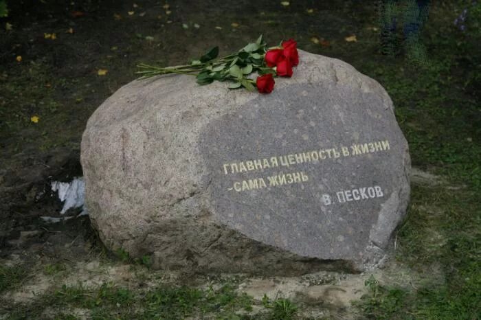 Памятник шолохова камень. Памятный камень сары. Памятный камень петру измайлово. Мемориальный камень "здесь был остановлен враг ноябрь-декабрь 1941". Days gone могила сары.