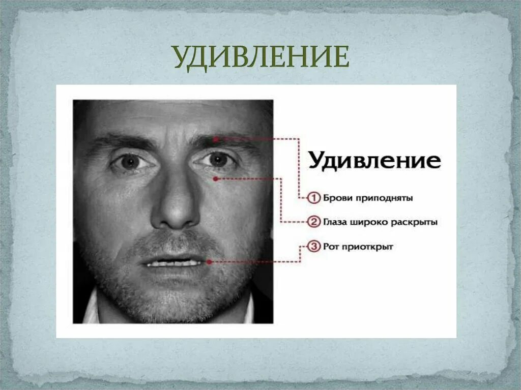 Удивление определение