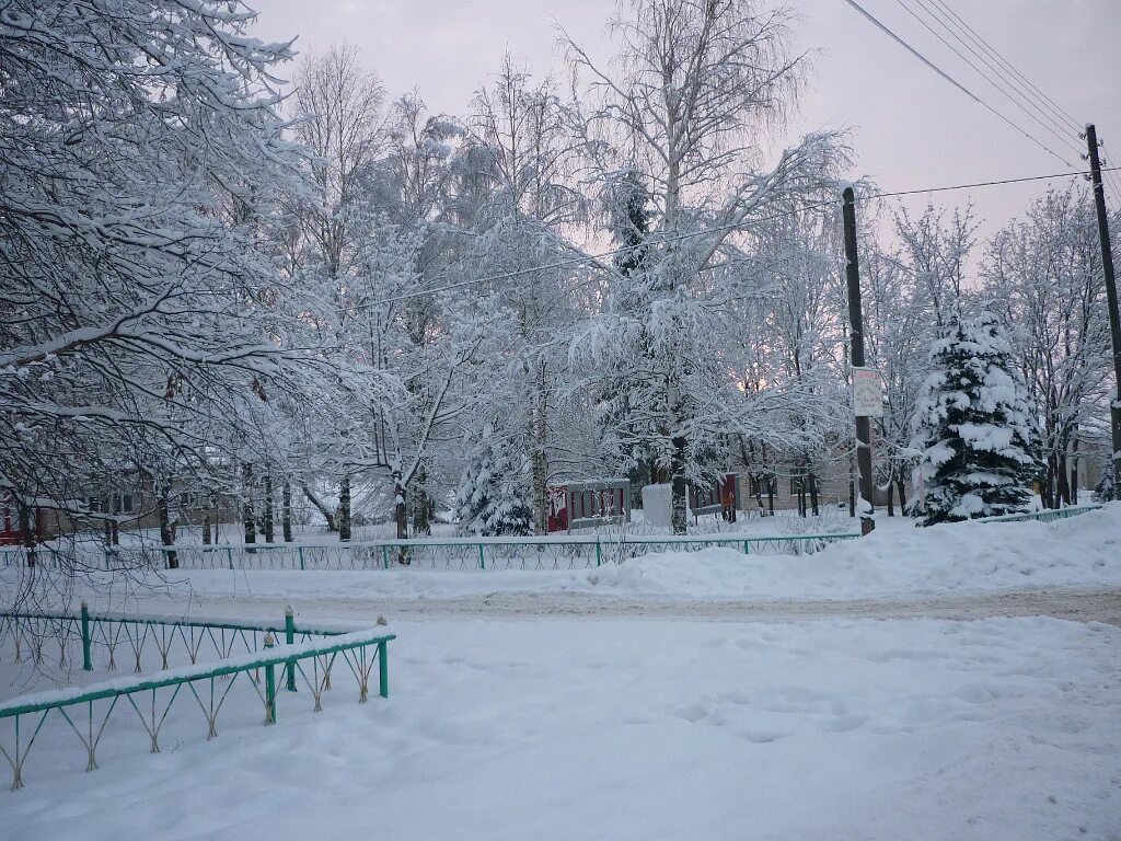 Погода шахунья на 10 дней точный