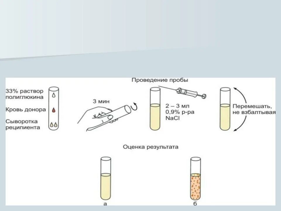 Проба на совместимость крови донора и реципиента. Определение пробы на совместимость крови. Определение совместимости группы крови донора и реципиента. Как определить совместимость крови донора и реципиента.