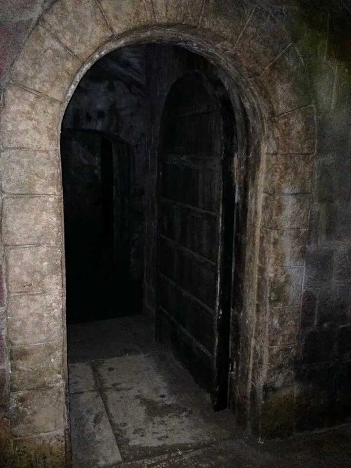 Открой дверь в подземелье. Дверь в подземелье. Старинные двери в подземельях. Дверь в темницу. Подземелье замка.