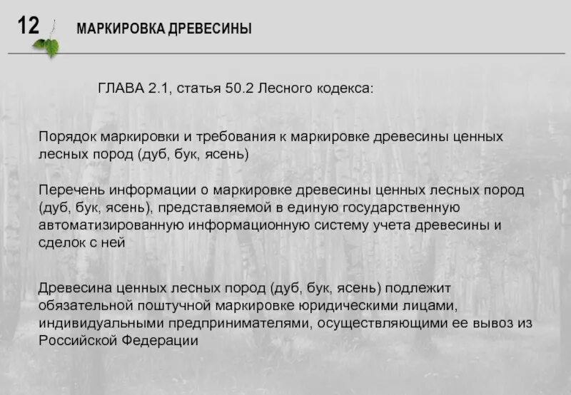 Статьи лесного кодекса. Маркировка леса. Лесной кодекс статья 1. Маркировка лесоматериалов.