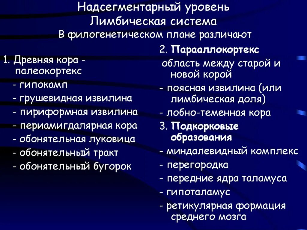 Надсегментарная дисфункция что это