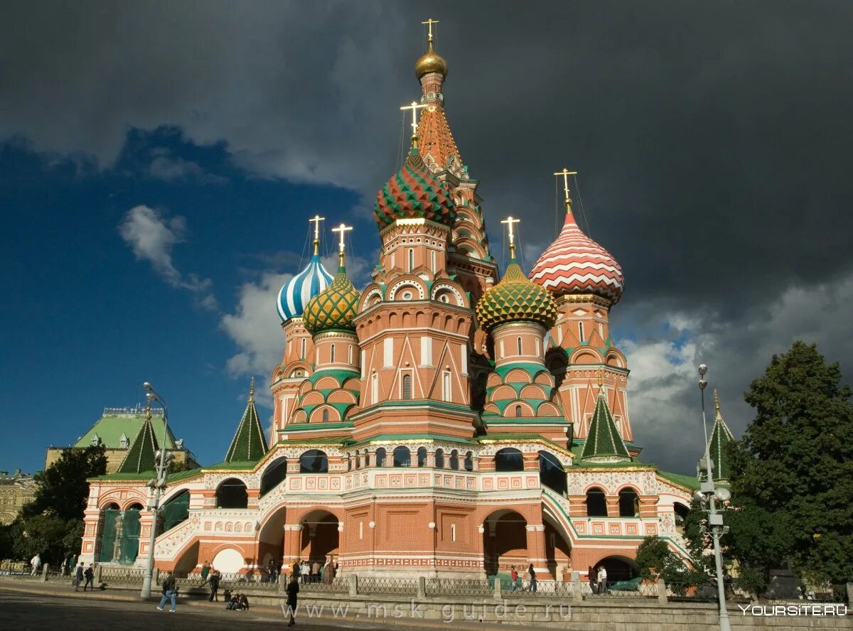 Разнообразие москве