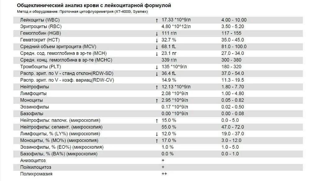 Норма нейтрофилов и лимфоцитов у детей. Анализ крови лимфоциты норма у детей 9 лет. Нормы анализов у детей лимфоциты. Базофилы в анализе крови норма.