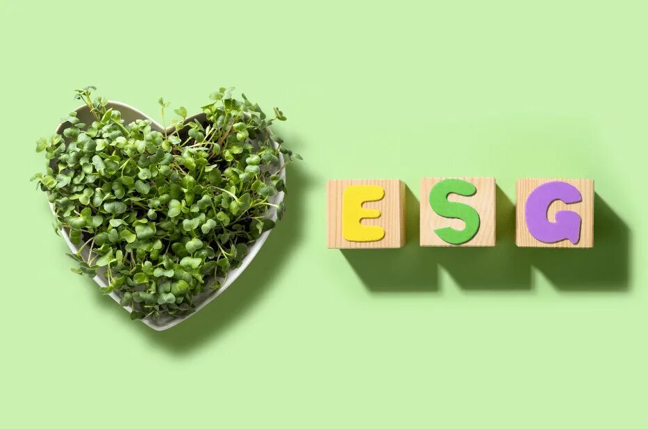 Esg эксперты. Esg. esg картинки. esg баннер. esg лого.