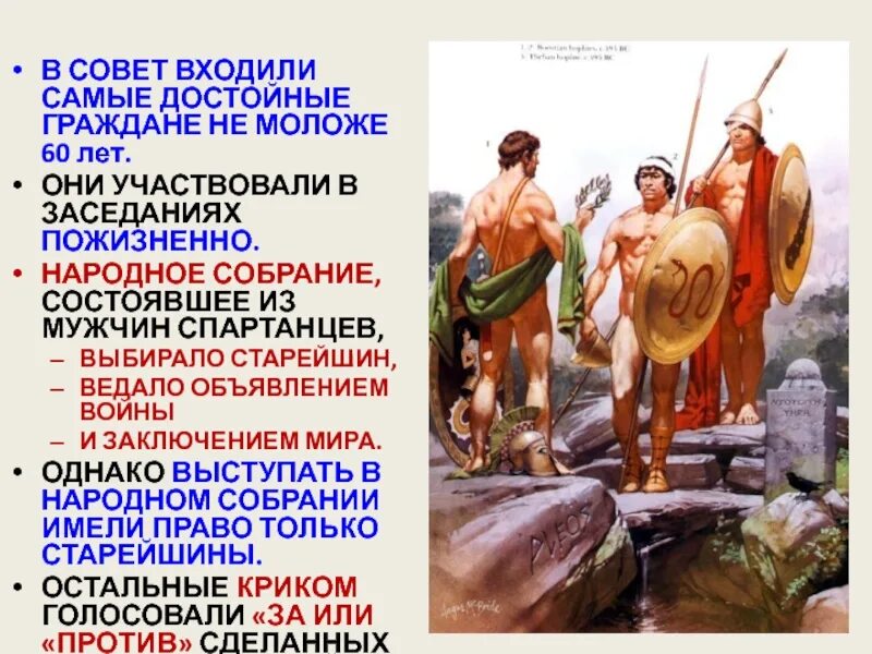 Древняя Спарта. Народное собрание в Спарте. Древняя Спарта совет старейшин. Совет Спарты. Народное собрание мужчин