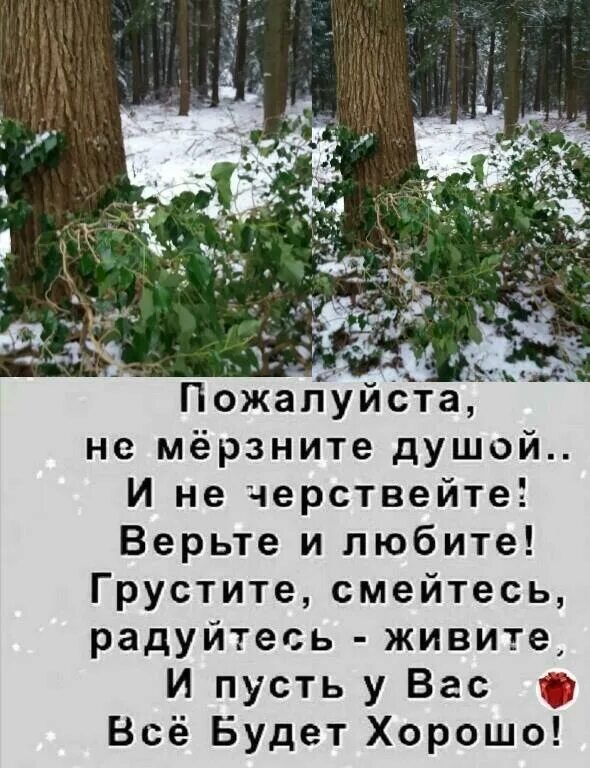 Чтоб не мерзла. Пожалуйста не мерзните душой. Пожалуйста не мерзните душой и не черствейте. Не мёрзните душой. Пожалуйста не мерзните душой и не черствейте верьте и любите.