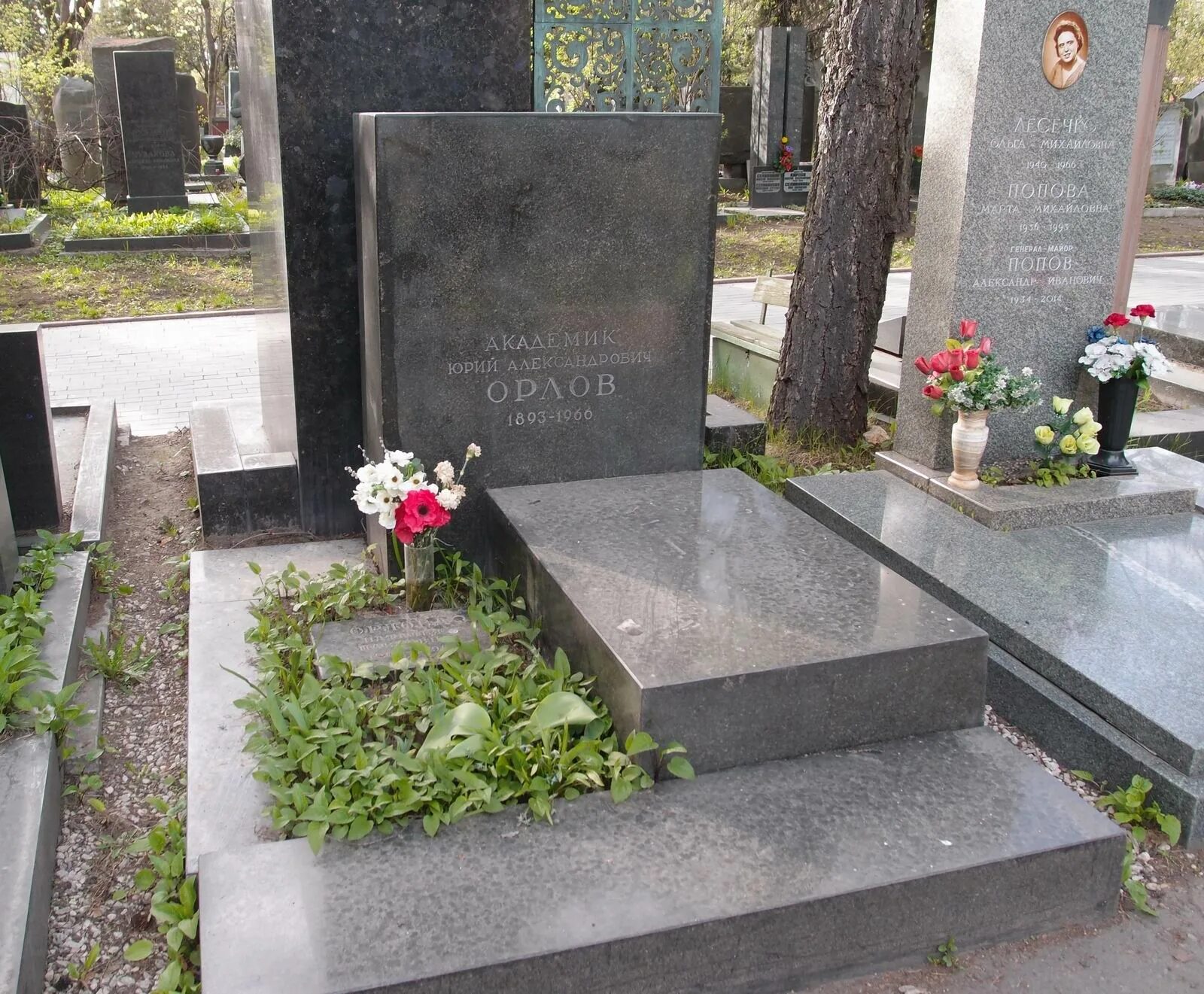 Здесь похоронен Орлов.