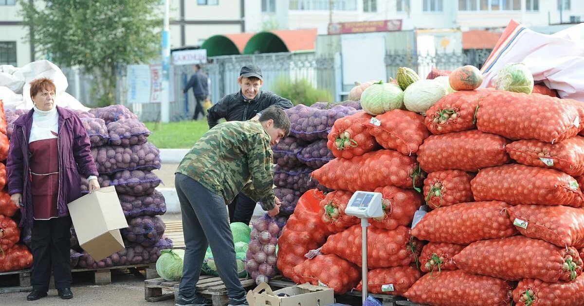 Сельхозярмарка в махачкале. Сельскохозяйственная ярмарка. Сельскохозяйственная ярмарка в чите. Сельскохозяйственные ярмарки районов. Весенняя сельскохозяйственная ярмарка.