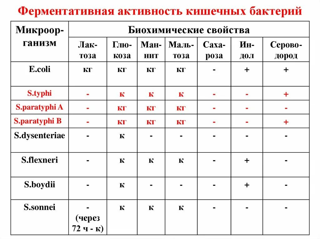 Таблица биохимической активности бактерий. Биохимические свойства энтеробактерий таблица. Биохимические свойства сальмонелл таблица. Биохимия сальмонеллы таблица. Ферментативная активность микроорганизмов