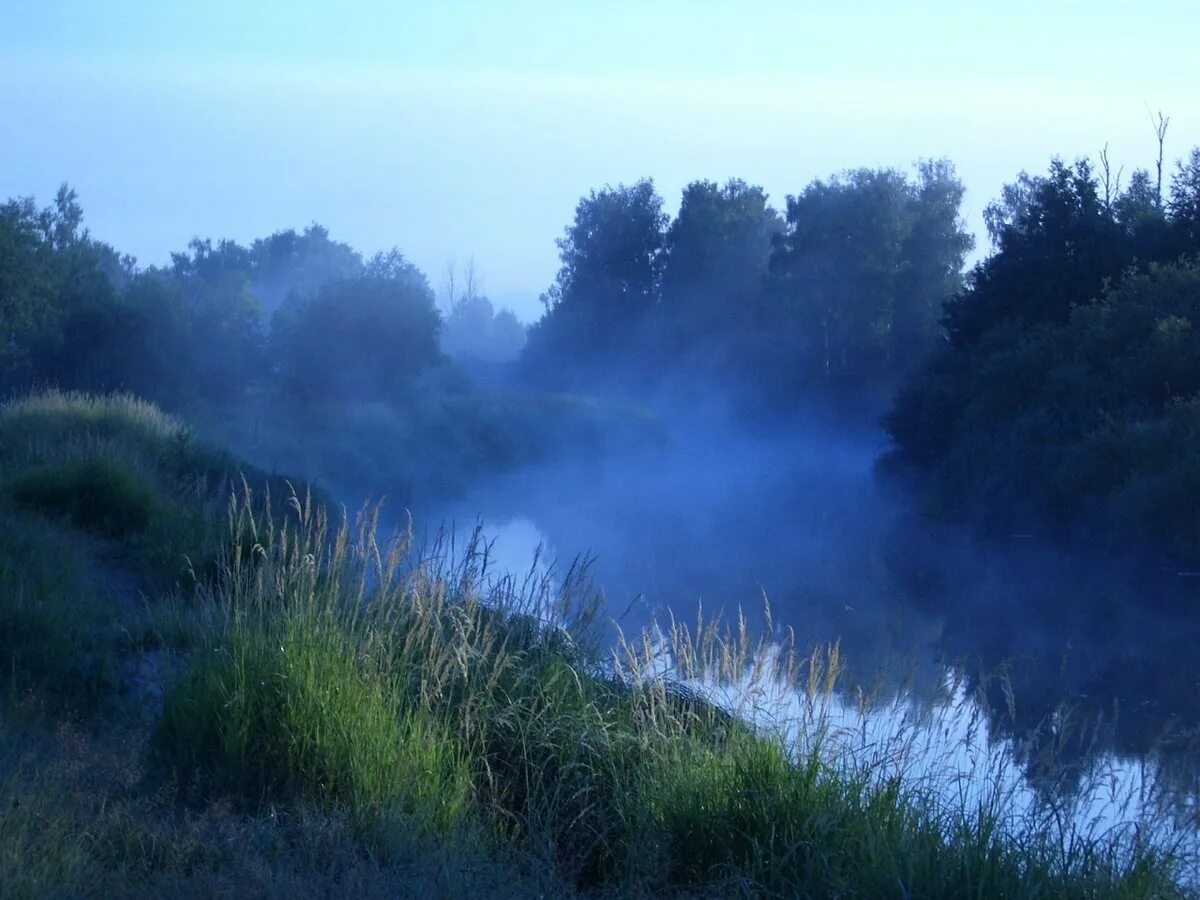 Песня над рекой туман сизый дым. Туман стелется. Туман за рекой. Туман над рекой. Реченька туманная.