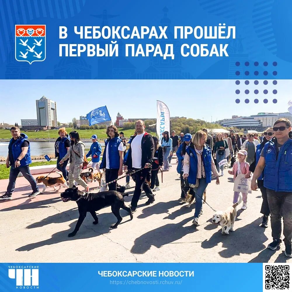 Парад собак чебоксары 2025. Парад собак чебоксары 2025. парад собак в омске. парад собак чебоксары 2025 фото.